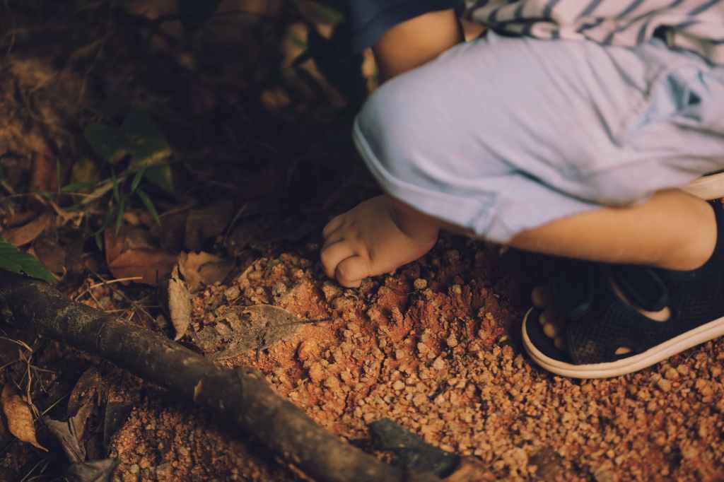 Muddy Puddles, Higher&nbsp;Thoughts